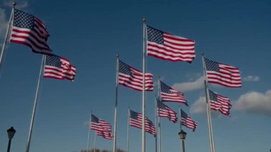 Muhteşem ve çarpıcı Amerikan bayrakları gururla ve zarif bir şekilde dalgalanıyor.