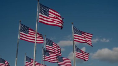 Muhteşem ve çarpıcı Amerikan bayrakları gururla ve zarif bir şekilde dalgalanıyor.