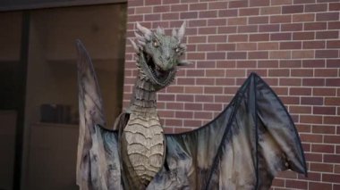 Çarpıcı ve büyüleyici ejderha modelleri karmaşık detaylar sergiliyor. Tuğla duvar zeminine güzelce yerleştirilmiş.