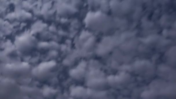 Costruire Moto Nuvole Gonfio Soffice Nuvole Bianche Cielo Time Lapse — Video Stock