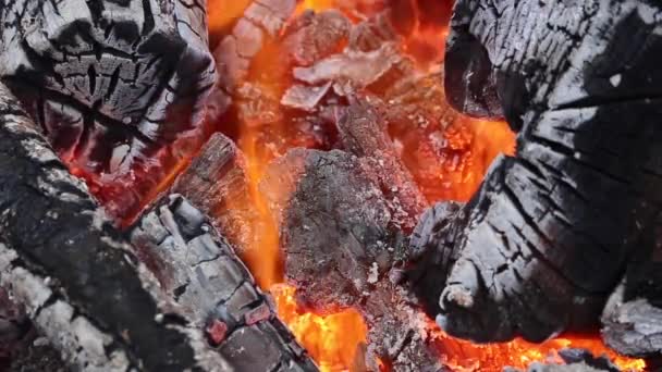 Steenkool Brand Achtergrond Animatie — Stockvideo