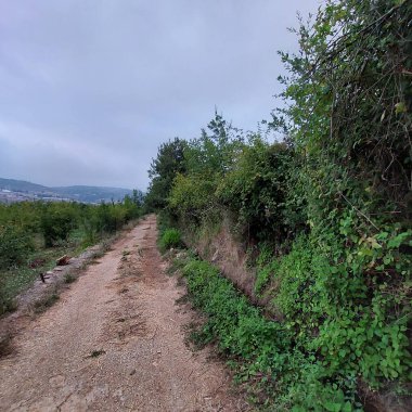 Dağlarda yol