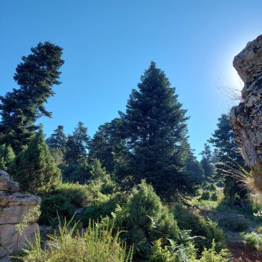 Dağların güzel manzarası