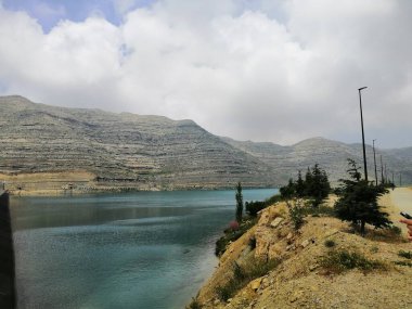 Ağaçları ve mavi gökyüzü olan sonbahar ormanı