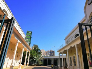 Ağaçları ve mavi gökyüzü olan sonbahar ormanı