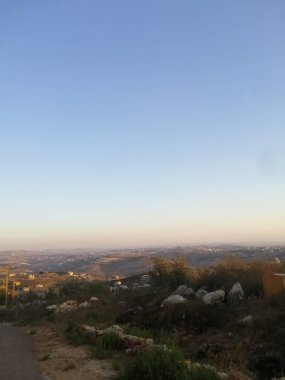 Ağaçları ve mavi gökyüzü olan sonbahar ormanı