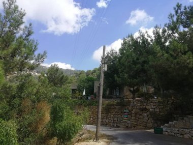 Ağaçları ve mavi gökyüzü olan sonbahar ormanı