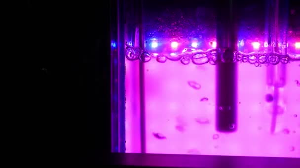 Reactor Ciencia Algas Investigación Moderna Laboratorio Biorreactor Multi Cultivador Sistema — Vídeos de Stock