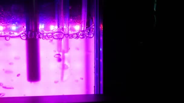 Algák Tudományos Reaktor Kutatás Modern Laboratóriumi Bioreaktor Multi Kultivátor Fotonrendszer — Stock videók