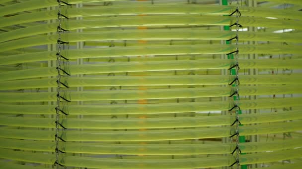 Algas Ciencia Reactor Tubular Tubo Investigación Manguera Moderno Laboratorio Biorreactor — Vídeo de stock
