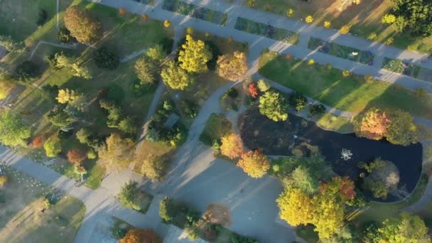 Ciudad Histórica Olomouc Parque Aéreo Drones Vista Panorámica Otoño Árbol — Vídeo de stock