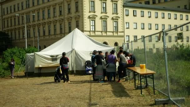 Inmigrantes Refugiados Ucrania Detención Voluntarios Caridad Sin Fines Lucro Sector — Vídeo de stock
