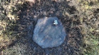 Su birikintisi kazıcı kürek işçisi drone hava birikintisi koruma doğası gereği elle yeni bir amfibi üreten çukur havuzu inşa eder. Bataklık yüksek su bataklığı buldu.