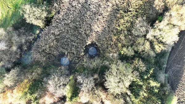 Pudim Pântano Cavar Trabalhador Drone Homem Proteção Poça Aérea Natureza — Fotografia de Stock