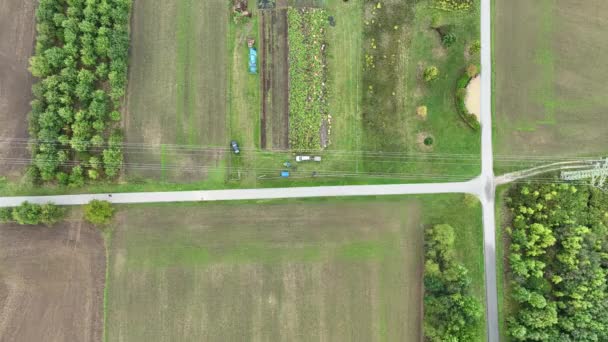 Συγκομιδή Κολοκύθας Hokkaido Butternut Drone Εναέρια Συγκομιδή Σωρό Cucurbita Maxima — Αρχείο Βίντεο