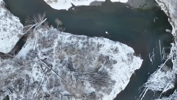 川デルタ氾濫原の冬の雪は 砂のアルバム凍結冷たい霜 ベンチ森林や低地湿地沼 クワッドコプタービュー飛行飛行ショーで撮影されたドローンの空中内陸ビデオを意味します — ストック動画