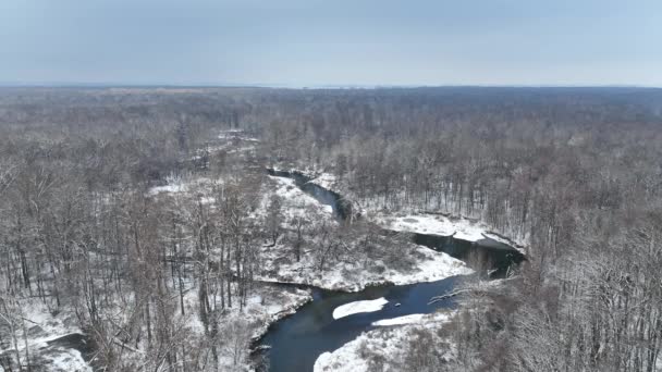 Flussdelta Aue Winter Schnee Mäander Drohne Antenne Inland Video Aufgenommen — Stockvideo