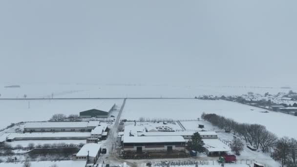Granja Agrícola Invierno Heladas Dron Nieve Aérea Para Cría Ganado — Vídeos de Stock