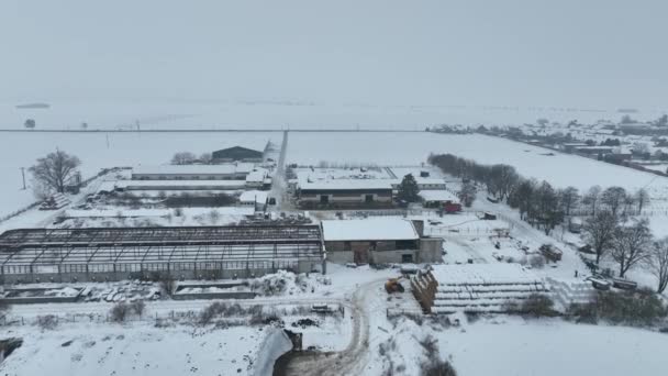 Agricultural Farm Winter Frost Snow Drone Aerial Breeding Cattle Pigs — Vídeo de stock