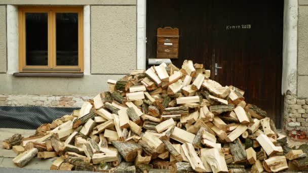 劈柴堆木柴白杨树存储取暖房 木柴老旧属性森林烧烤乡间房子堆积如山的大木柴 能源危机 — 图库视频影像