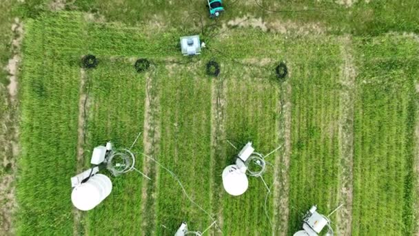 Vědecké Měření Dýchání Pšenice Obecné Zemědělství Pole Triticum Estivum Půdní — Stock video