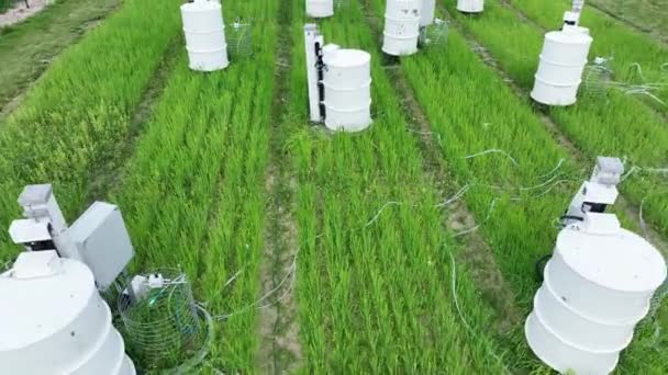 Scientific Measurement Respiration Wheat Common Agriculture Field Triticum Aestivum Soil — Stock Video