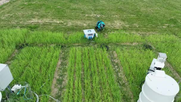 Scientific Measurement Respiration Aerial Drone Wheat Common Agriculture Field Triticum — Stock Video