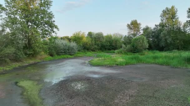 Dürre Sehr Feuchtgebiet Sumpf Drohne Antennenteich Austrocknen Des Bodens Rissige — Stockvideo