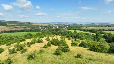 Ardıç çayırları orkideler ve eski meyve ağaçları, mavi gökyüzü ve bulutlar, dağ bakiresi doğa UNESCO biyosfer rezervasyonu Bile Karpaty Beyaz Karpatlar, doğal Drahy botaniği anıtı.