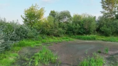 Kuraklık çok nemli, bataklık drone havuzu toprağı kurutuyor toprak kabuğu çatlıyor iklim değişikliği, çevre felaketi ve toprak çatlıyor bitkiler ve hayvanlar için ölüm, toprak kuru çürümesi