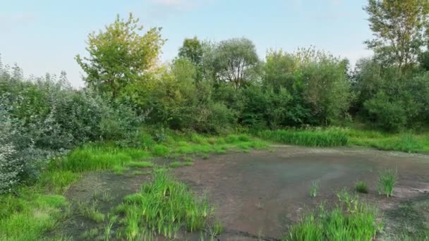 Dürre Sehr Feuchtgebiet Sumpf Drohne Antennenteich Austrocknen Des Bodens Rissige — Stockvideo