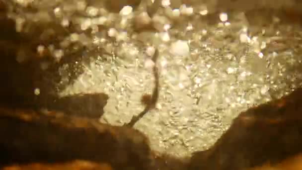 Onderwater Bubbels Watervallen Stroom Bergbos Sriver Weg Door Stenen Sprookjesachtige — Stockvideo