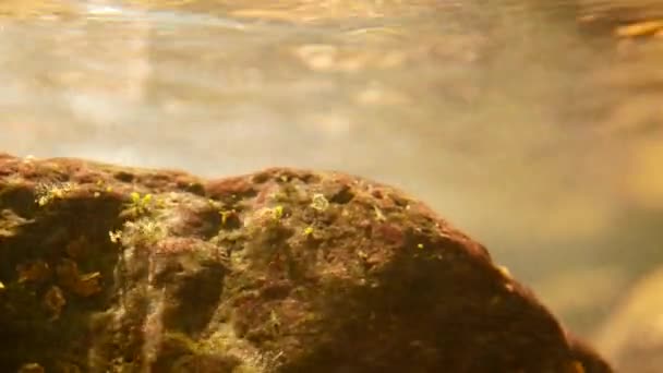 水下泡泡瀑布瀑布瀑布山林蜿蜒流过石子仙境夏景山水 原初原始森林秀丽 水晶晶清澈 — 图库视频影像