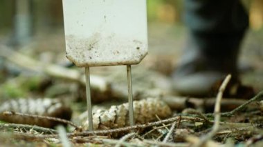 Bilimsel dendrometre yangın ormanı risk ölçüm toprak erken uyarı sistemleri, tahmini tehlike yangınları özellikle ahşap tarım ekinleri solunum ağacı bilim istasyonu