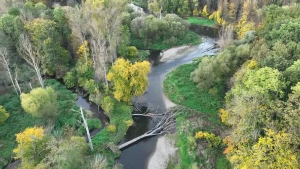 Řeka Delta Záplavová Nížina Podzim Barva Meander Drone Letecký Vnitrozemské — Stock video
