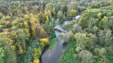 Nehir delta taşkını sade sonbahar renkleri drone hava aracı kumlu kum alüvyum, banklar orman ve ova sulak bataklığı, kuadkopter manzaralı uçuş gösterisi, koruma altında.