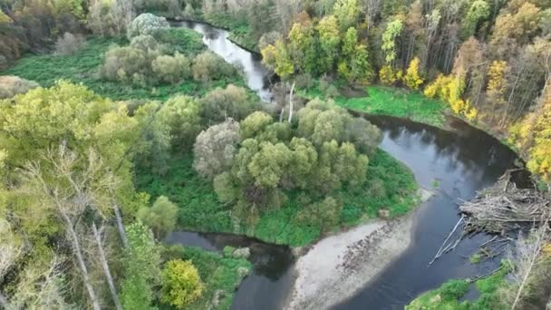 Rzeka Delta Floodplain Jesień Jesień Kolor Meander Dron Anteny Śródlądowe — Wideo stockowe