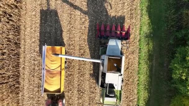 Colheitadeira Milho Milho Combinar Zea Mays Derramando Trem Trator Drone — Vídeo de Stock