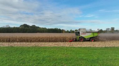 Hasatçı Claas Lexion 570 mısır mısır tarlası Zea Mays 'i traktör drone hava görüntüsü ile birleştirerek hasat traktörü hasat sırasında mısır tarlasını, toprağı, ormanı, tarlayı biçer.