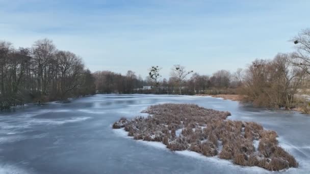 Lowland Fens Meadow Winter Snow Ice Hrdiboricke Ponds Icy Frozen — Stock Video