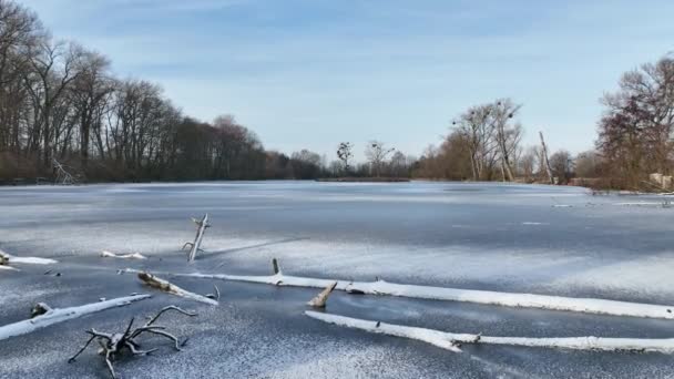 Lowland Fens Prado Inverno Neve Gelo Lagoas Hrdiboricke Gelo Congelado — Vídeo de Stock