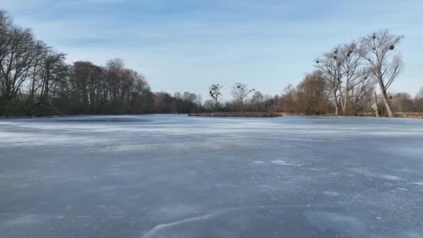 Lowland Fens Prado Invierno Nieve Hielo Hrdiboricke Estanques Helados Congelados — Vídeos de Stock
