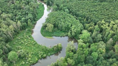Delta nehri Morava insansız hava aracı görüntüsü taşkın ovalarında, iç kısımlarda, bataklıklarda, kuadkopter manzaralı uçuş gösterisinde Litovelske Pomoravi 'nin korunan peyzaj alanında çekildi.