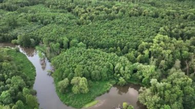 Delta nehri Morava insansız hava aracı görüntüsü taşkın ovalarında, iç kısımlarda, bataklıklarda, kuadkopter manzaralı uçuş gösterisinde Litovelske Pomoravi 'nin korunan peyzaj alanında çekildi.