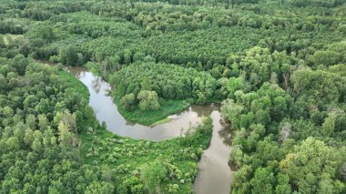 Delta nehri Morava insansız hava aracı görüntüsü taşkın ovalarında, iç kısımlarda, bataklıklarda, kuadkopter manzaralı uçuş gösterisinde Litovelske Pomoravi 'nin korunan peyzaj alanında çekildi.