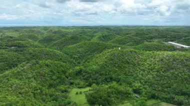 Tropik orman dağı Cebu drone hava aracı Filipinler bitki ve hayvanların egzotik biyolojik çeşitliliği, endemik türler dağlar, tropikal iklim, kurak mevsim ve yağmur mevsimi, aşırı nüfus ve ormansızlaşan yoğun tarım. Hindistan cevizi