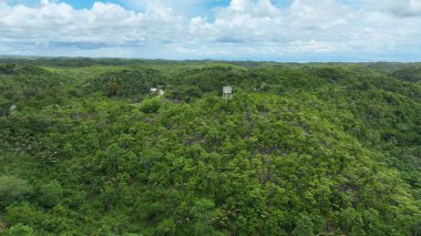 Tropik orman dağı Cebu drone hava aracı Filipinler bitki ve hayvanların egzotik biyolojik çeşitliliği, endemik türler dağlar, tropikal iklim, kurak mevsim ve yağmur mevsimi, aşırı nüfus ve ormansızlaşan yoğun tarım. Hindistan cevizi