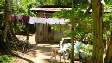 TABOC, PHIPPINES, 18 Haziran 2025: Fakir aile bireyleri, geleneksel Filipinler çiftliğine ev sahipliği yapıyor. Cebu sakinleri bisiklet ile tarım oyunları oynuyorlar. Asya köyü