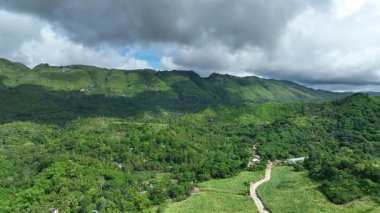 Tropikal orman dağı Manghilao Corte Dağı ve Triumfo köyü insanları fakir ev şekerkamışı Cebu insansız hava aracı Filipinler 'in egzotik biyolojik çeşitlilik bitkileri ve hayvanları, endemik türler dağları, orman iklimi, Saccharum işyeri kuru.