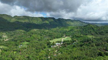 Tropikal orman dağı Manghilao Corte Dağı ve Triumfo köyü insanları fakir ev şekerkamışı Cebu insansız hava aracı Filipinler 'in egzotik biyolojik çeşitlilik bitkileri ve hayvanları, endemik türler dağları, orman iklimi, Saccharum işyeri kuru.